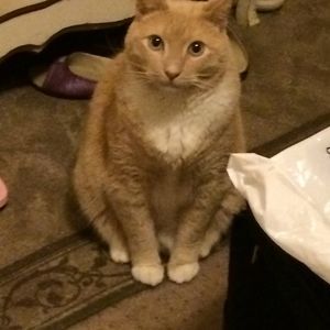 Meet your Posher, Bethany